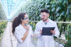 Agricultural Engineers in Plantation